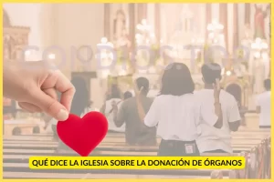 la Iglesia sobre la donación de órganos